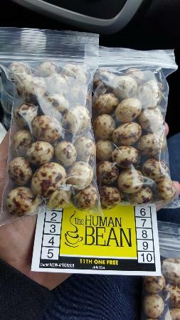 The Human Bean Bandon